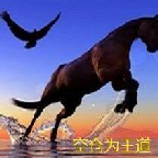 空仓为王道