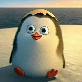 |▍ xiao乐°(山)陆 尊师悦er 的直播