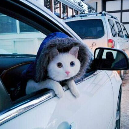 龙启网络直播间关注粉丝_龙启网络粉丝留言_