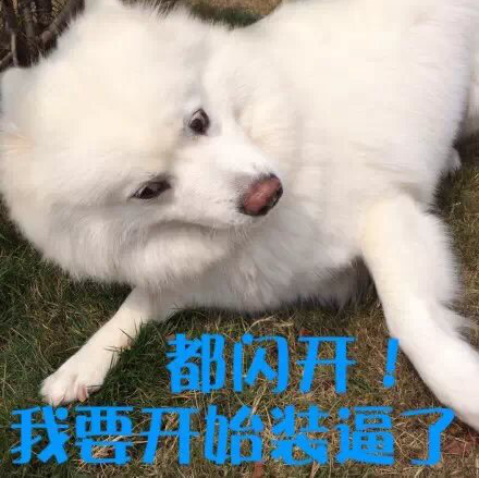 【娱+534】Miki 湖南浙江卫视嘉宾直播间关注