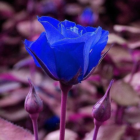 店小二丶视频直播全集_店小二丶资料大全-YY官