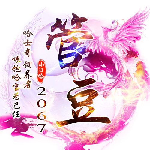 2067,管豆(哈氏场控)招场控加好友