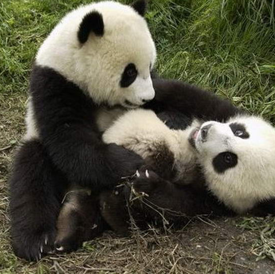 巭孬嫑夯昆的关注和粉丝 -YY直播-YY.COM中国