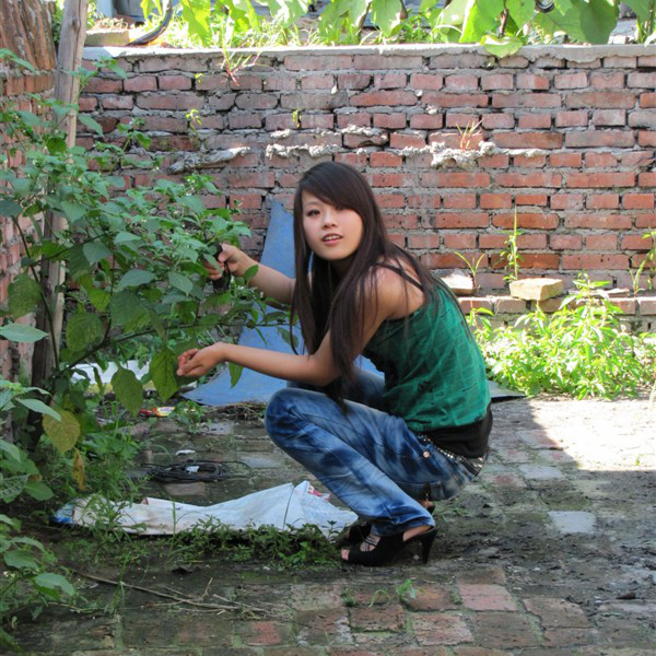 【梦中的额吉】老魔 带你飞最新歌曲作品_老魔