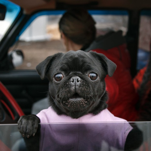 1987cast away的直播-YY直播-YY.COM中国领先