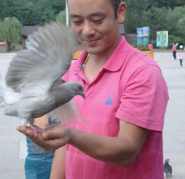 诚信赢天下直播间关注粉丝_诚信赢天下粉丝留