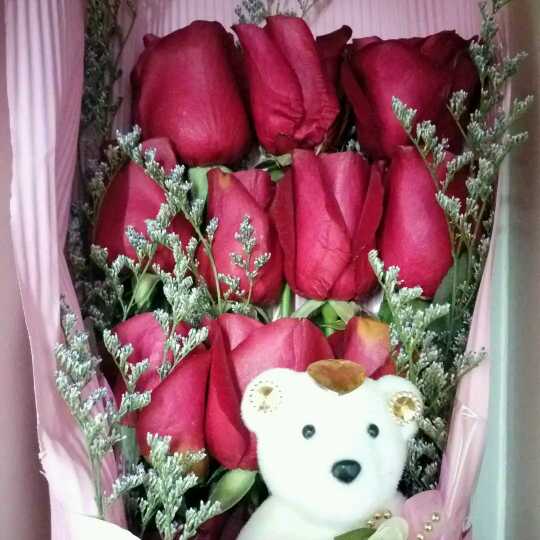 幸福启航视频直播全集_幸福启航资料大全-YY官