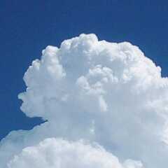 石家庄狗磊直播间关注粉丝_石家庄狗磊粉丝留