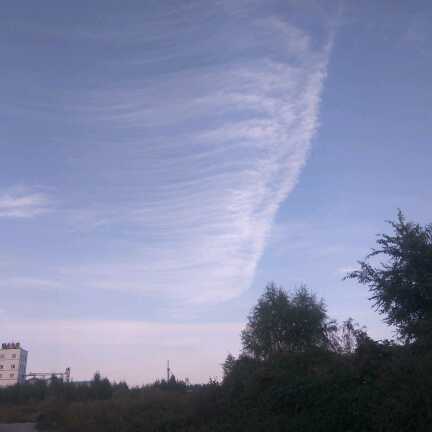 阿哲的Ava直播间关注粉丝_阿哲的Ava粉丝留言