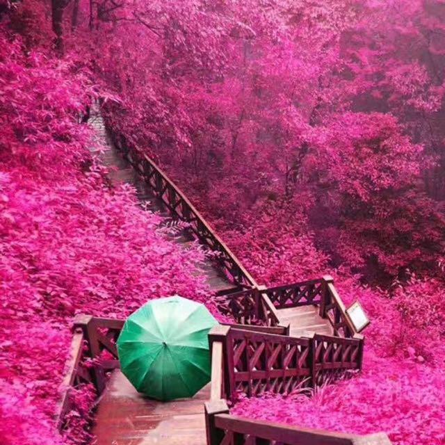 呃呃呃额额的呃呃呃额额的呃呃呃额额的视频直