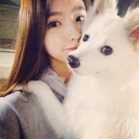 烈风猛犬直播间关注粉丝_烈风猛犬粉丝留言_