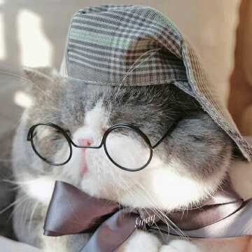 山东人是地域黑的爹直播间关注粉丝_山东人是