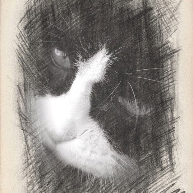 \u8881\u6E49\uFF08Tian\uFF09视频直播全集