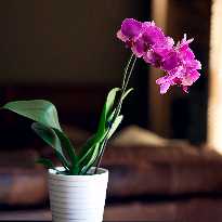 又说那话的回放