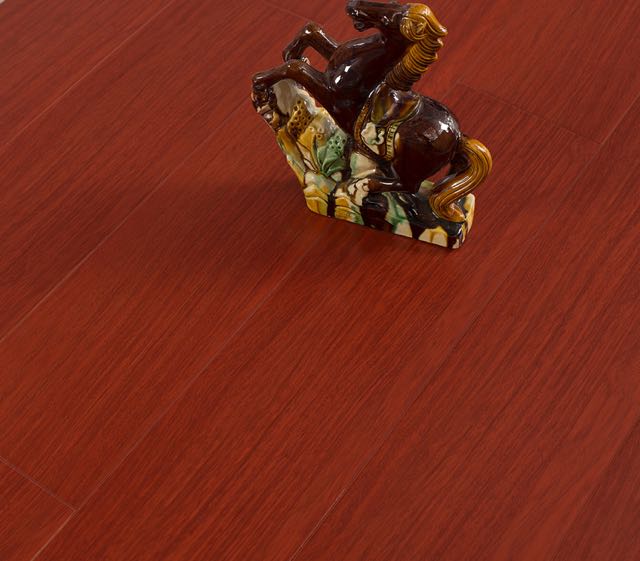 正一派,天师道,一心真人直播间关注粉丝_正一