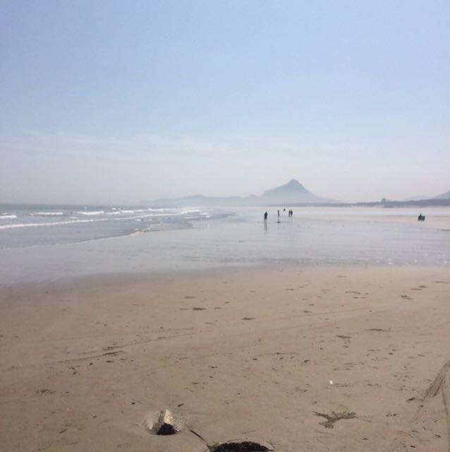 幕后煮屎视频直播全集_幕后煮屎资料大全-YY官