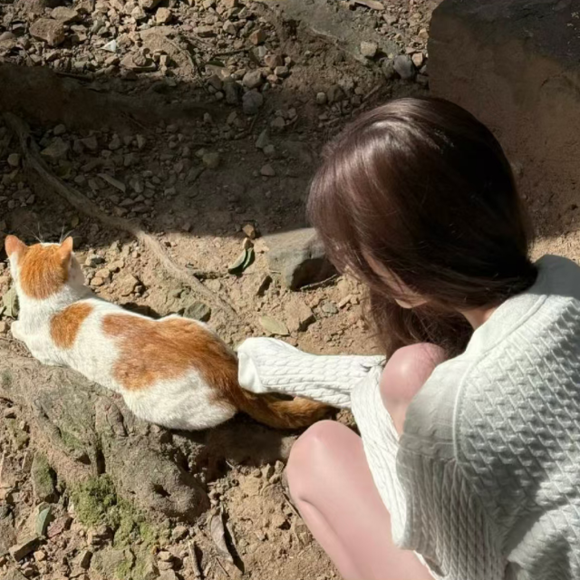 江西雅雅 等光来 星语心愿