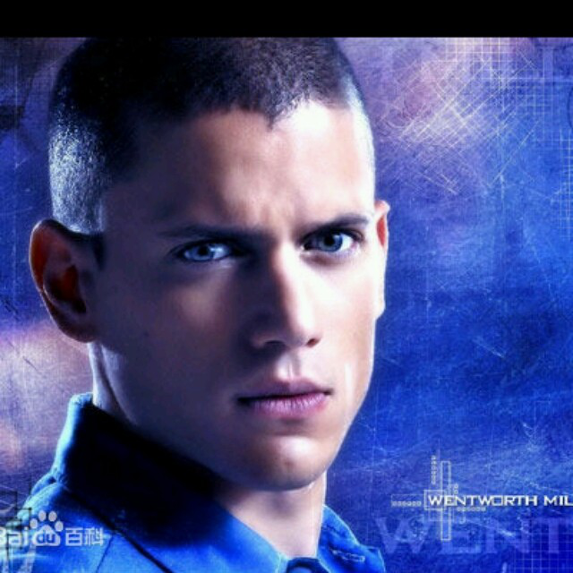 【4314】段友小鸡炖蘑菇照片_【4314】段友