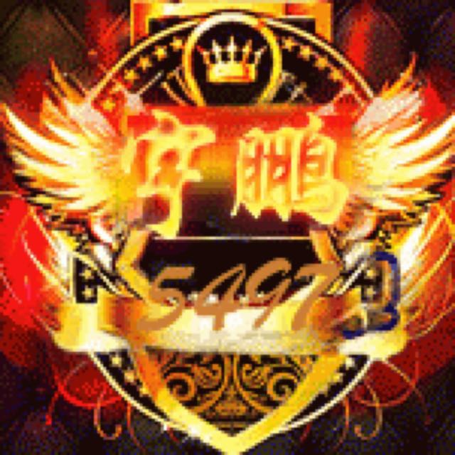 ir5497宇鹏