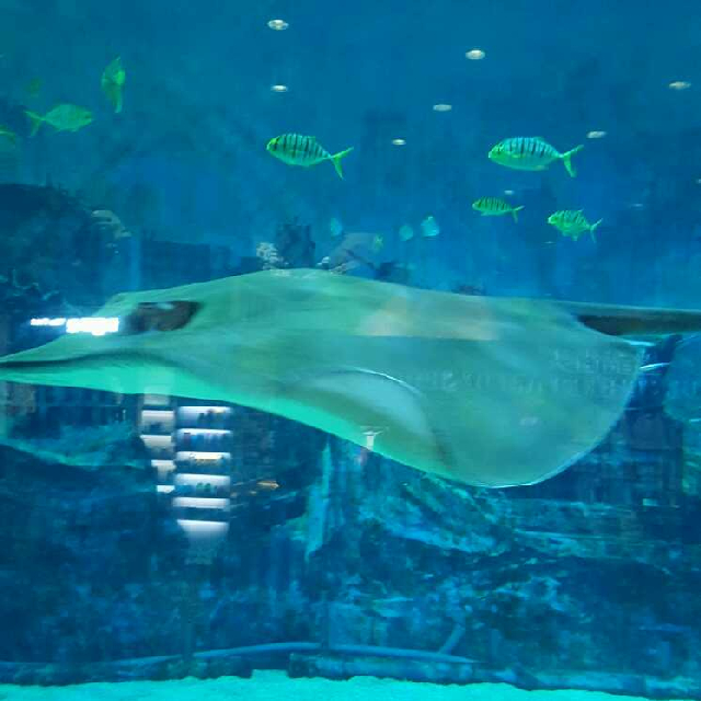 来人请自动发卡平台或者加我QQ好友直播间关