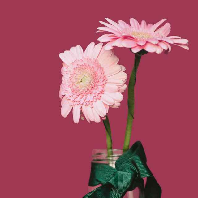 水仙姥姥视频直播全集_水仙姥姥资料大全-YY官