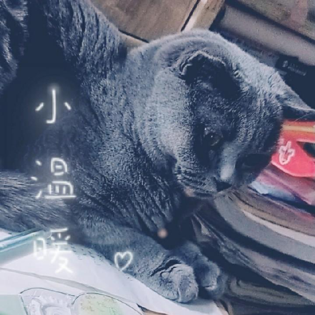半夏微凉