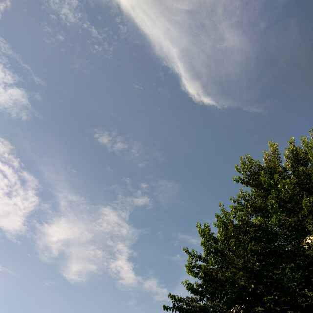 马斯拉地视频直播全集_马斯拉地资料大全-YY官