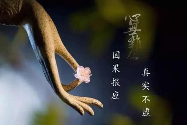 一点动心简谱_有一点动心简谱(3)