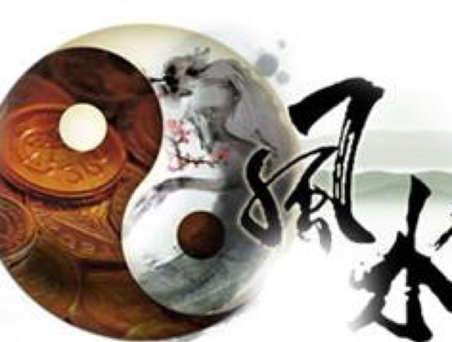 南极子视频直播全集_南极子资料大全-YY官方