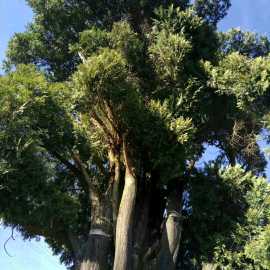 朔州小白直播间关注粉丝_朔州小白粉丝留言_