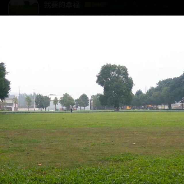 董明珠直播间关注粉丝_董明珠粉丝留言_董明