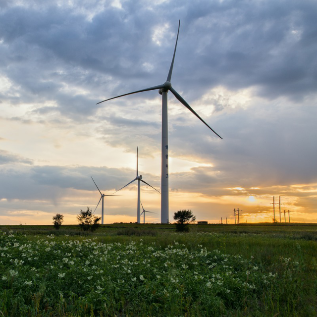 Tommy汤米直播间关注粉丝_Tommy汤米粉丝留