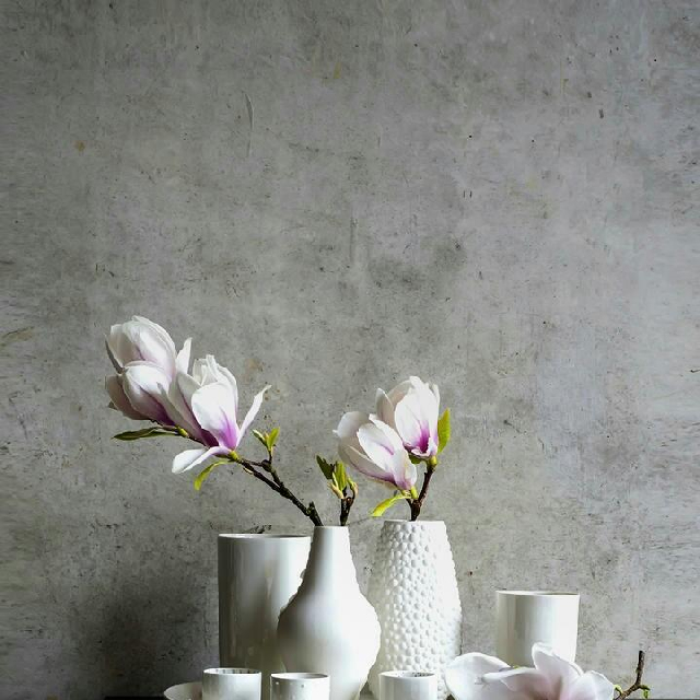 1234视频直播全集_1234资料大全-YY官方