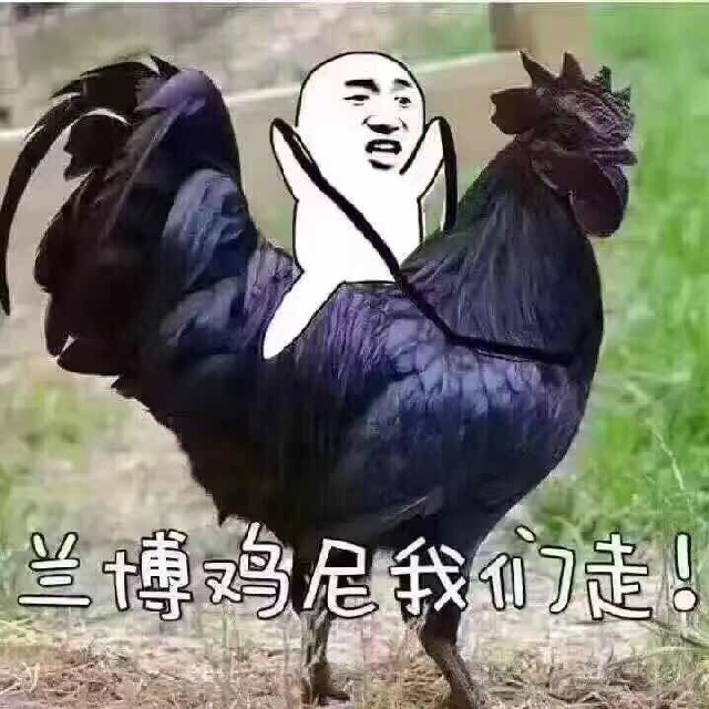 华哥 团结的舞帝