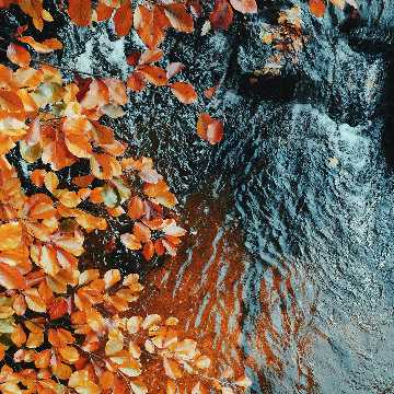 琴琴 唱歌热舞美女直播间关注粉丝_琴琴 唱歌