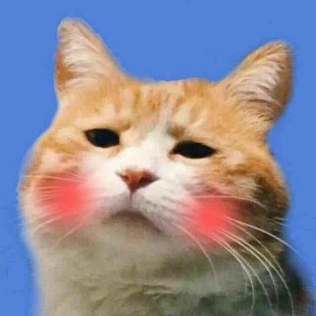 头像截图