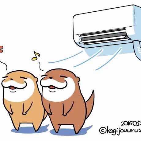 苏州瓜子二手车一李建峰新闻全集_苏州瓜子二