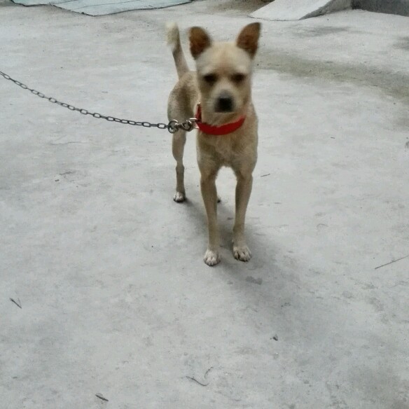 金月月的主页-YY直播-YY.COM中国领先的直播