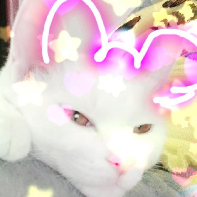 二愣