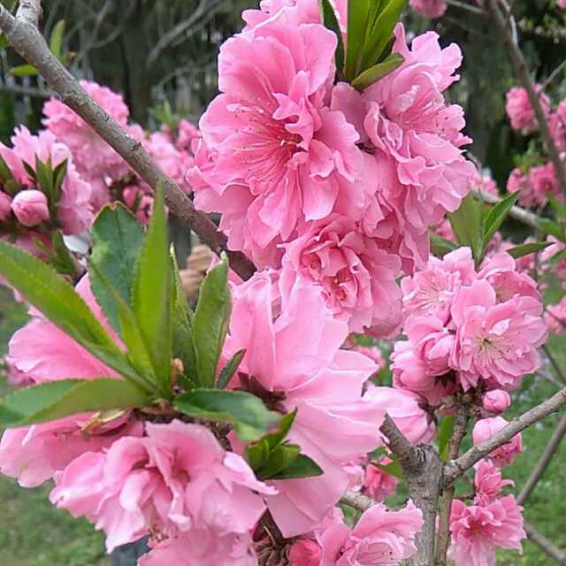 117A1B12A1108蒋新文直播间关注粉丝_117A