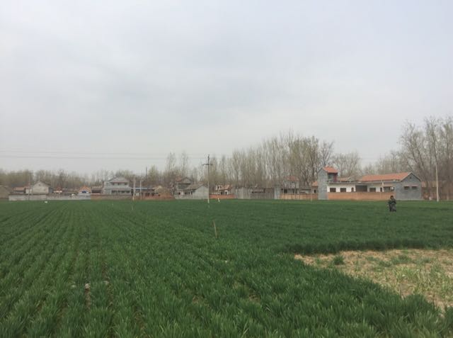 3045股哥(管理代挂)的关注和粉丝 -YY直播-YY.