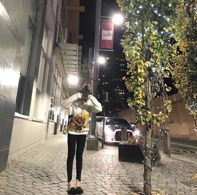 虎牙TV贵族直播间关注粉丝_虎牙TV贵族粉丝