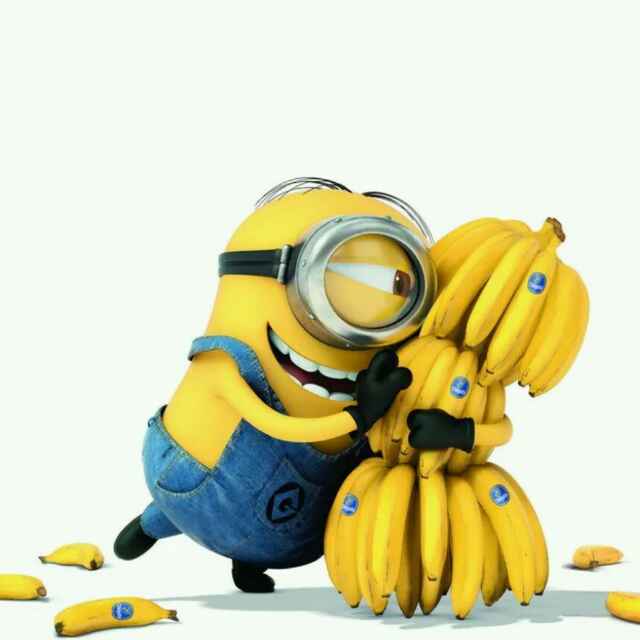 马桶C直播间关注粉丝_马桶C粉丝留言_马桶C