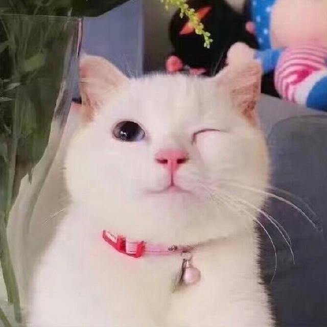 头像截图
