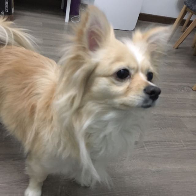 【九宫举3908】Leo王小牛的主页-YY直播-YY.