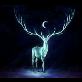 诸天万界视频直播全集_诸天万界资料大全-YY官