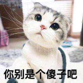 小灰灰视频直播全集_小灰灰资料大全-YY官方