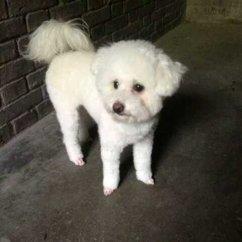 电竞郭德纲直播间关注粉丝_电竞郭德纲粉丝留