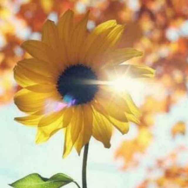 我只笑笑不说话