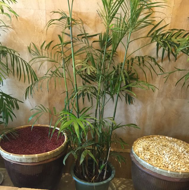 给你们看一下坑逼是什么样的!半个小时剑圣.-在